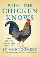 What the Chicken Knows Jacket Cover